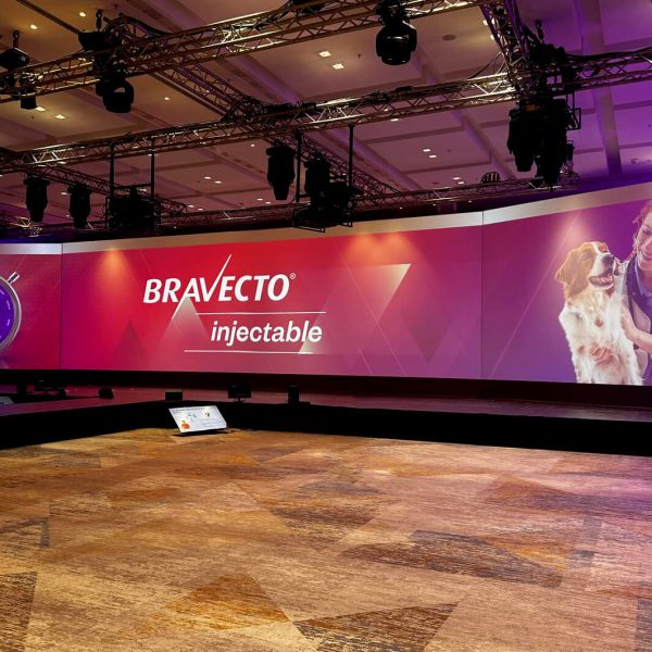 WhatsApp Image 2024-11-28 at 10.39.50 (25)